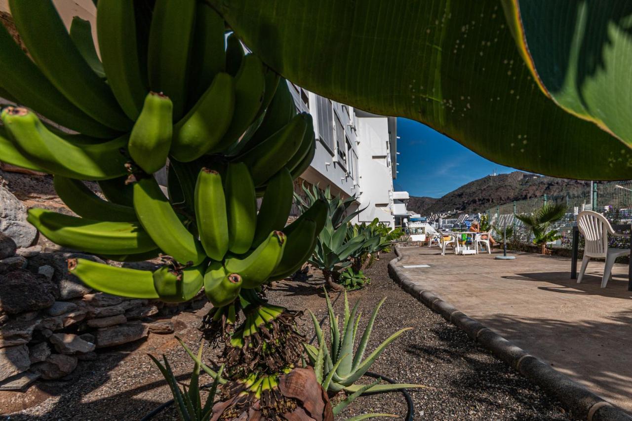 Your Happy Place Puerto Rico With Ac Екстер'єр фото